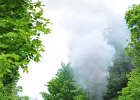 ČKD BS80 von Zastávka u Brna nach Důl Jindřich (17)